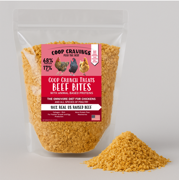 Coop Cravings Coop Crunch Beef Bites Treats for Chickens 2lbs