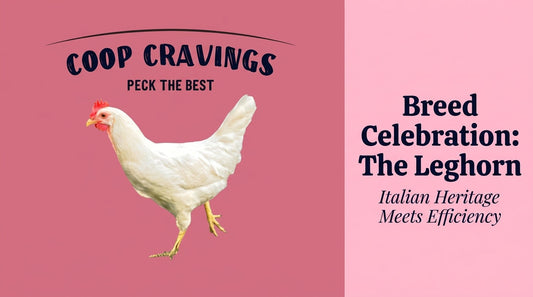 Coop Cravings Breed Celebration: Leghorn