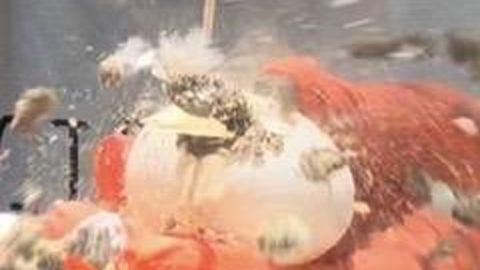 Why Are My Eggs Poopy? 3 Things to Check