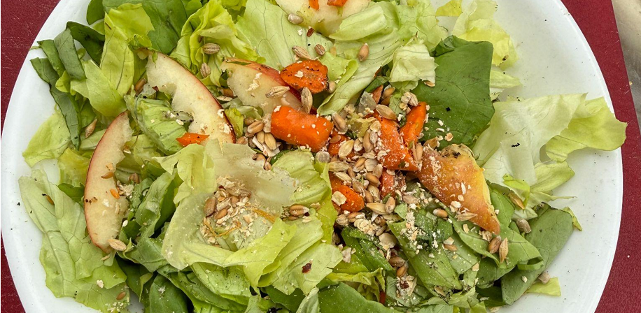 Adding Variety to Your Chickens’ Treats: A Beginner’s Guide