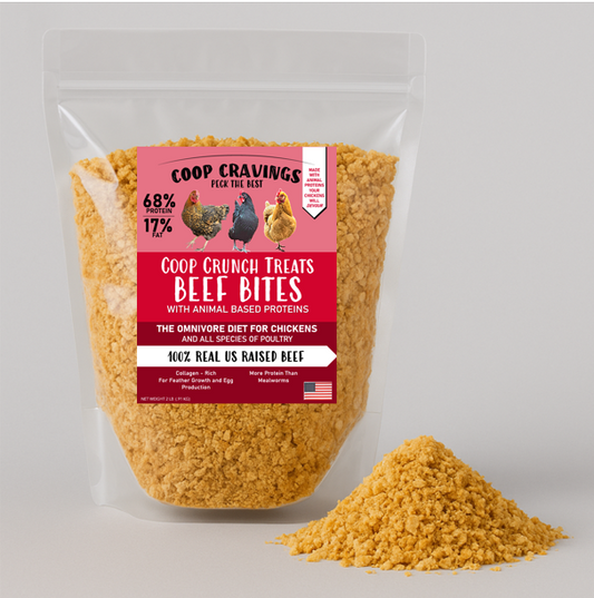 Coop Cravings Coop Crunch Beef Bites Treats for Chickens 2lbs