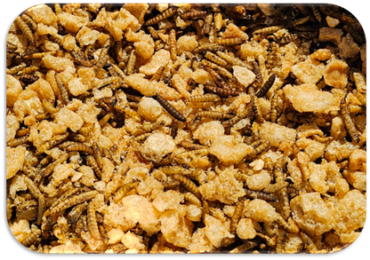 Coop Cravings Omnivore Mix Fly ‘N’ Filet 3lb